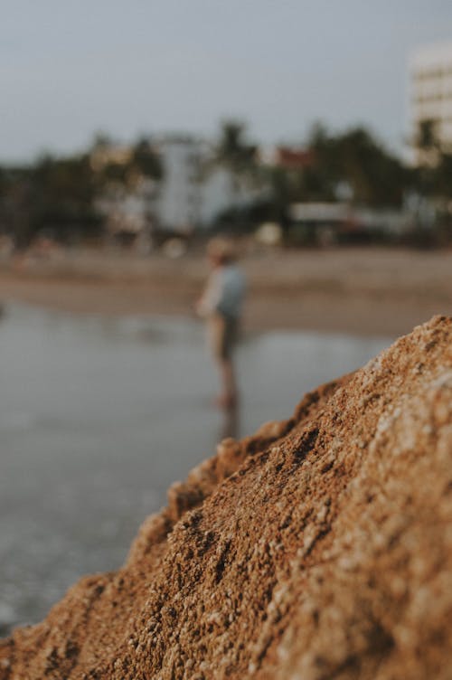 Free stock photo of beach, blurred, golden hour