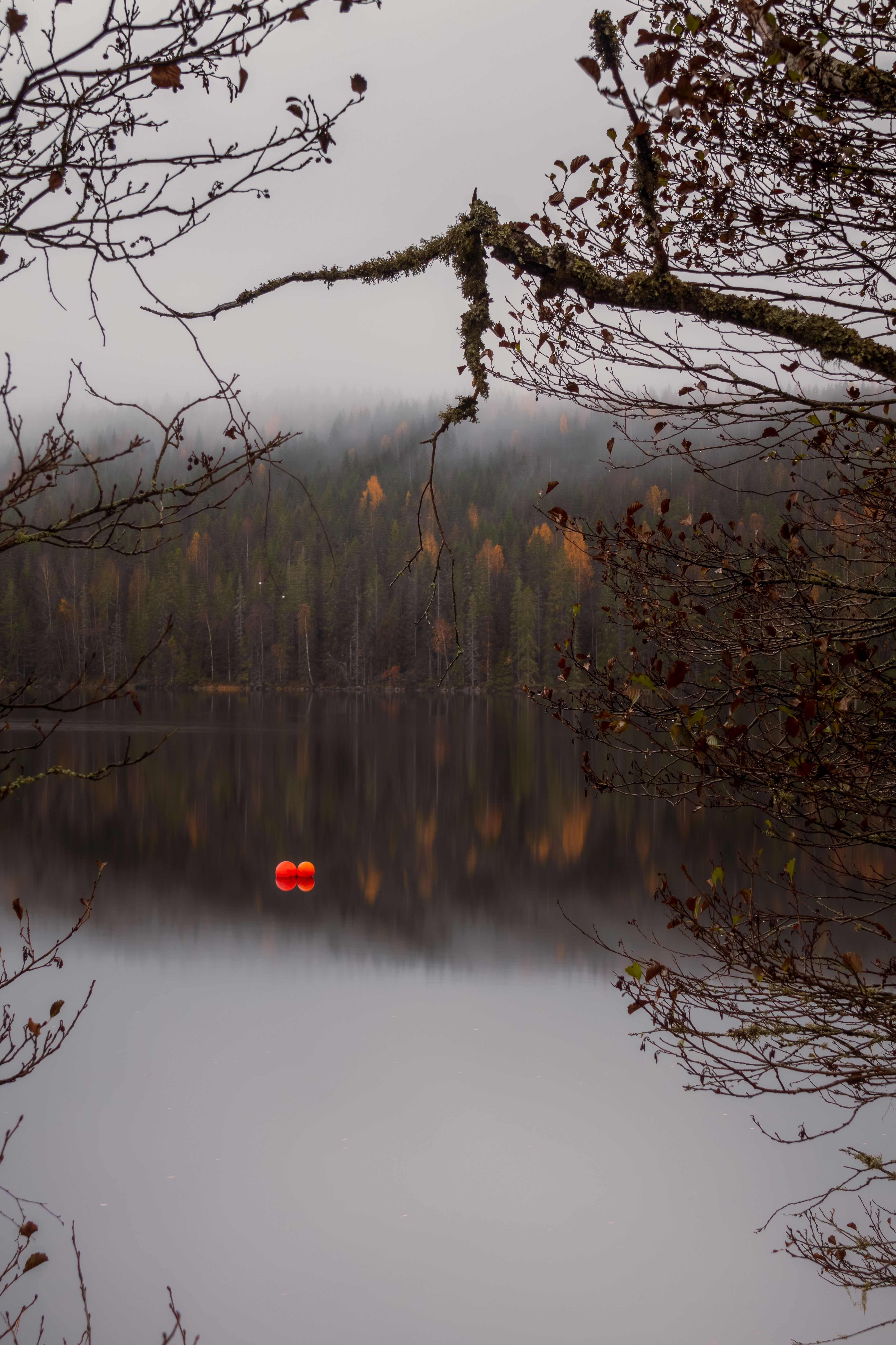 Misty Autumn Lake with Reflective Stillness · Free Stock Photo