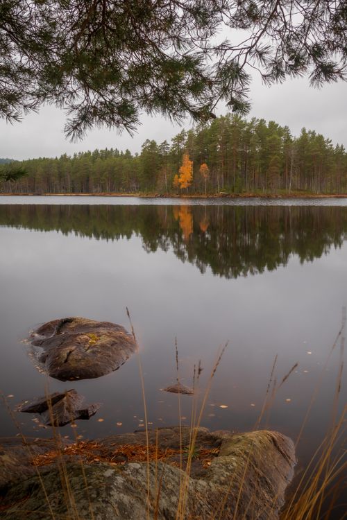 Free Peaceful autumn scene with lake, rocks, and misty forest reflection. Stock Photo