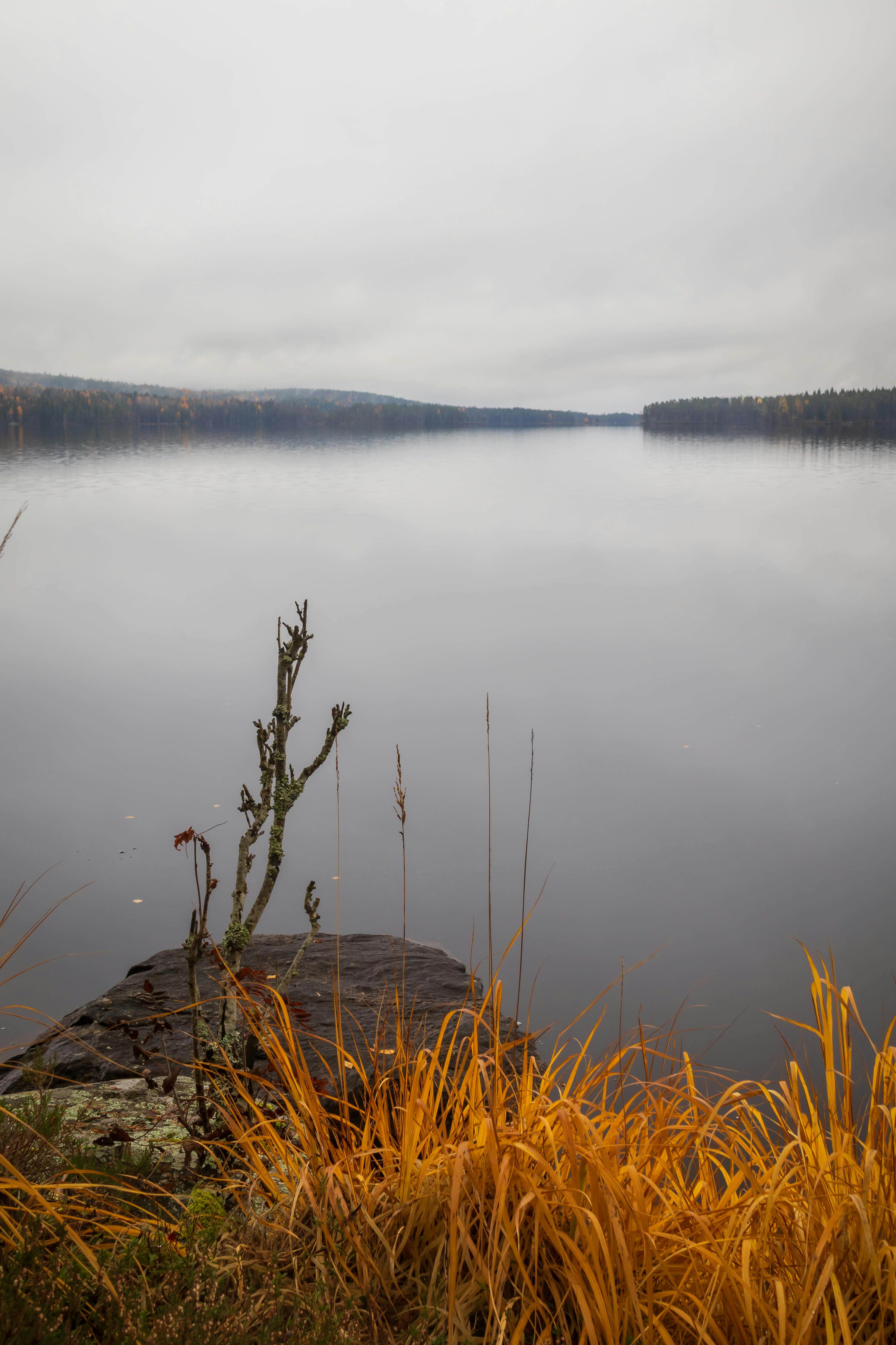 A peaceful autumn lake reflecting a misty landscape, showcasing nature's serene beauty.