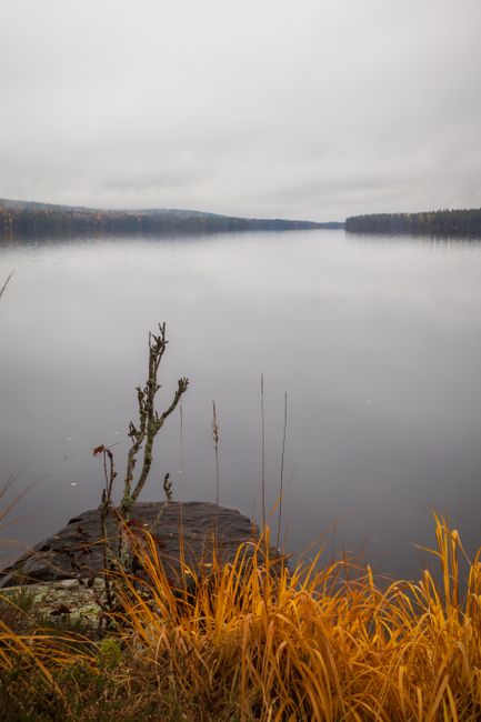 A peaceful autumn lake reflecting a misty landscape, showcasing nature's serene beauty.