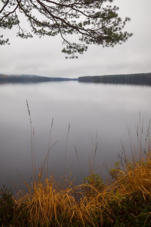 Free A tranquil scene of a misty lake surrounded by autumn foliage and trees, reflecting calmness. Stock Photo
