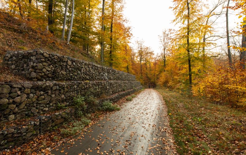 How to Build a Retaining Wall: Step-by-Step Guide