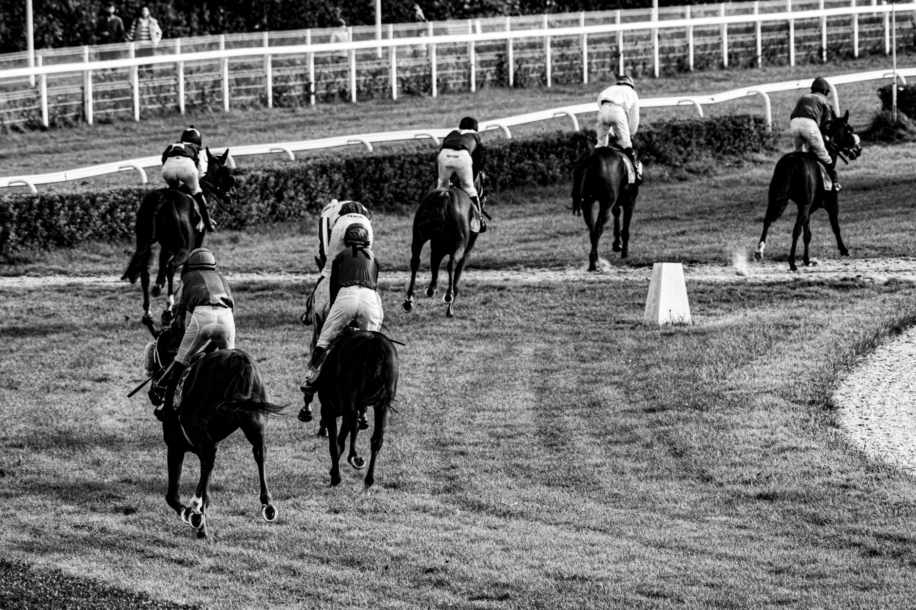 grand national 2026