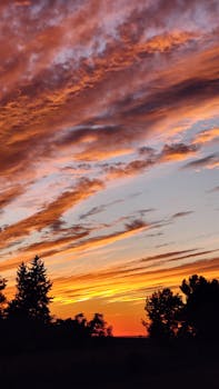 A breathtaking sunset with vibrant colors and silhouetted trees, capturing nature's beauty and tranquility.