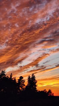 Captivating sunset with vivid clouds and silhouetted trees against the horizon.