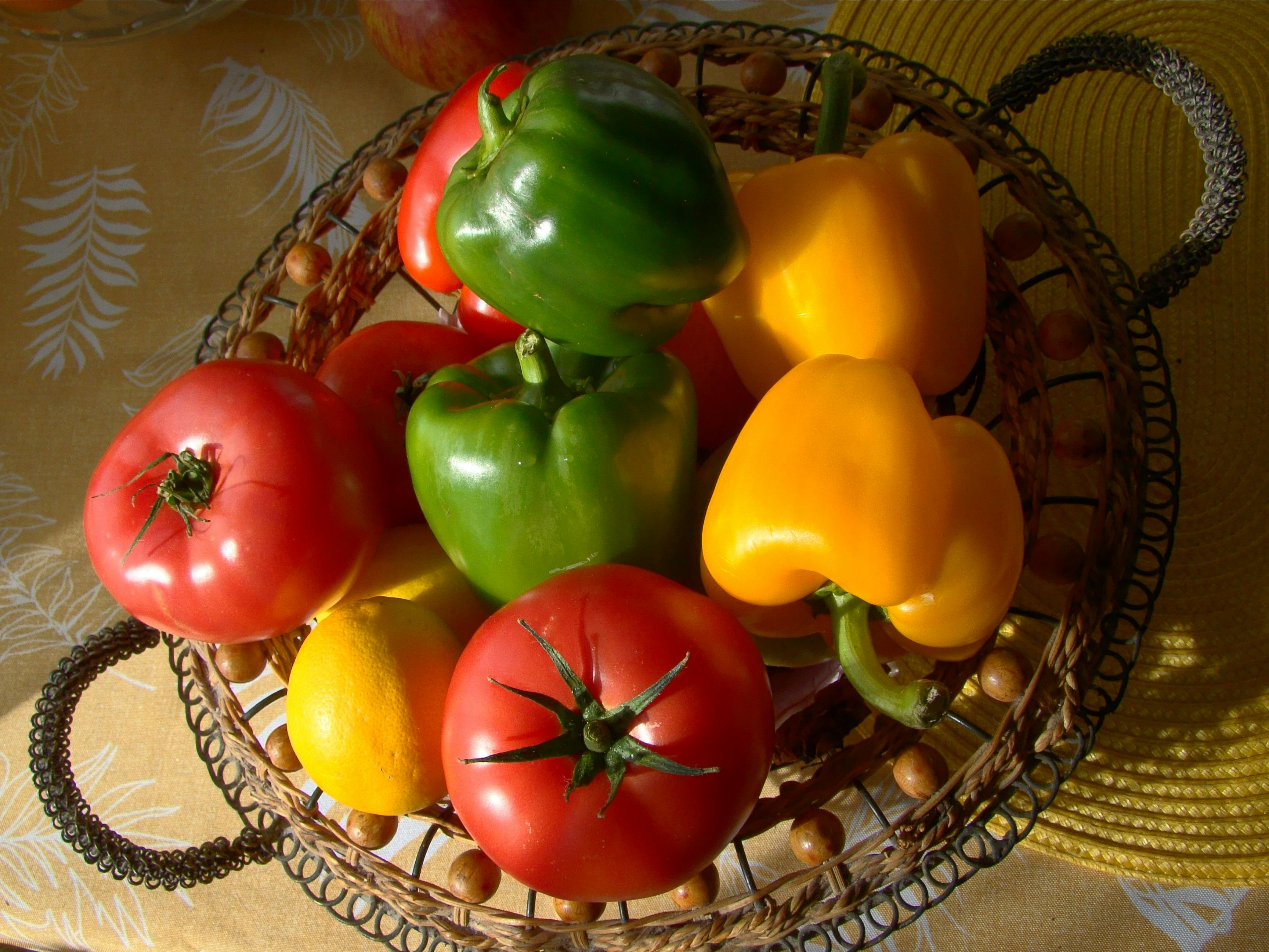 specialty diets, special diets, specialty dietitian, special diets examples, special diets schedule, special types of diets, 