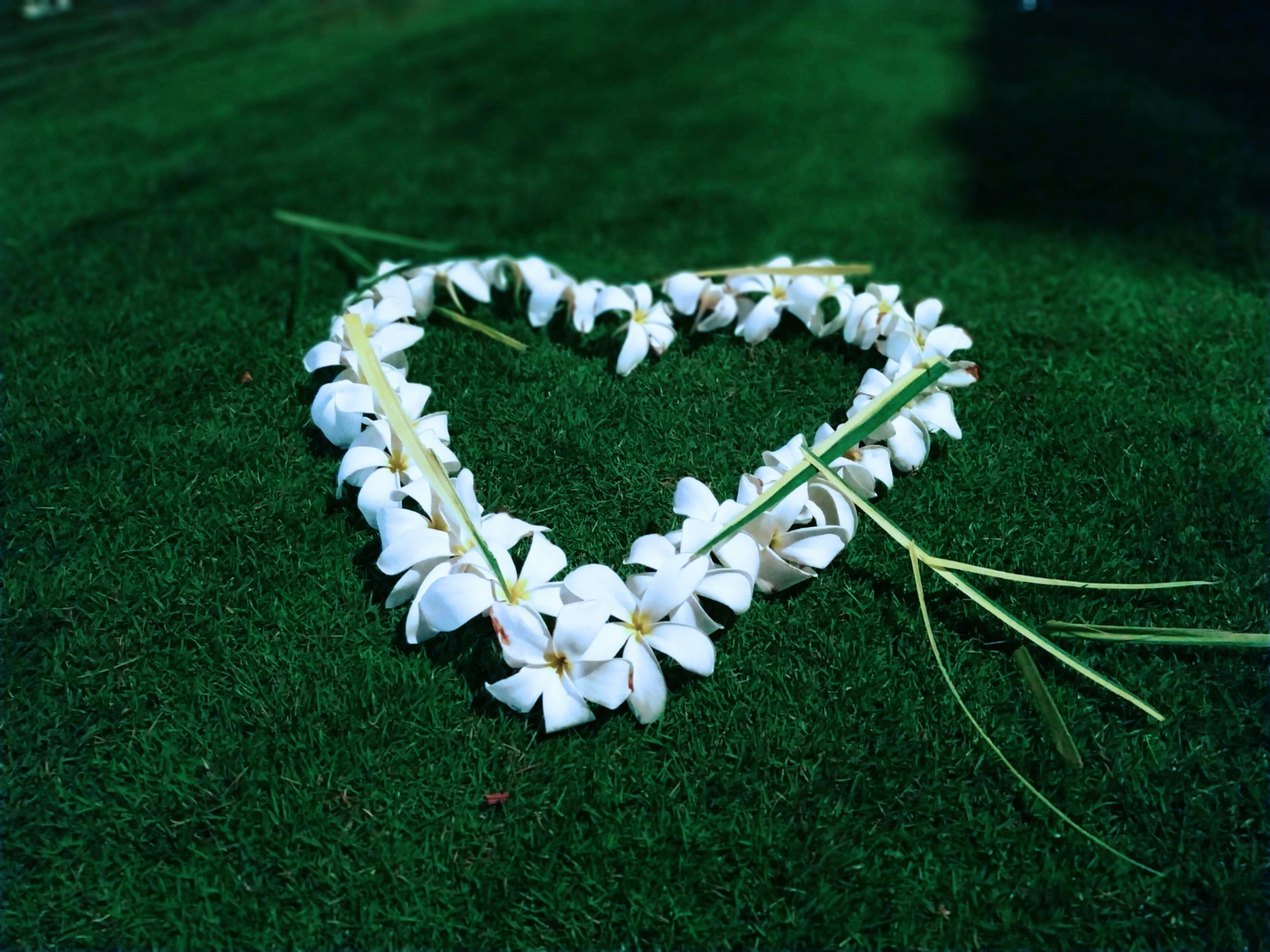 Airline Industry Response