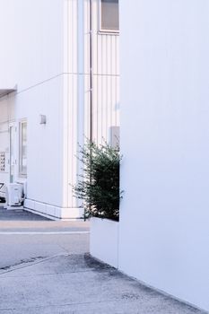 White urban facade with a small bush, showcasing minimalist architectural design and subtle natural elements.