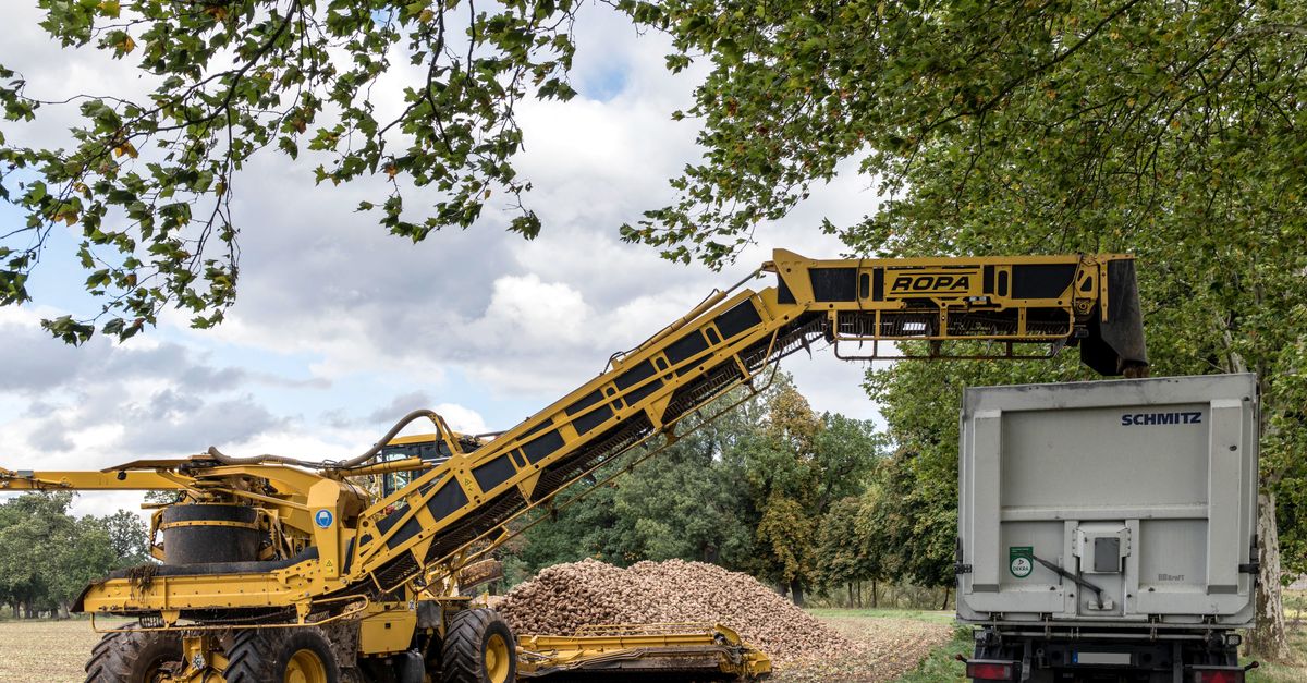Quercus Biosolutions Secures $5M for AI-Driven Crop Protection Proteins