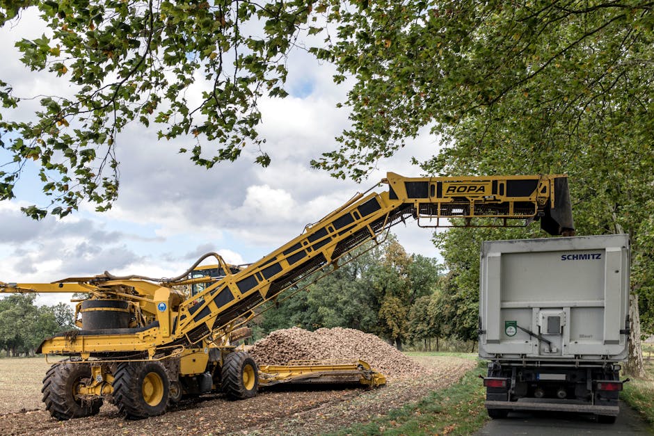 Transforming Prioritization Skills through Mindfulness: Mastering Time Management like a Pro