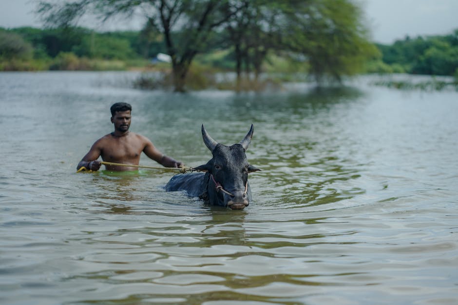 Dive into a refreshing river - The best swimming spots