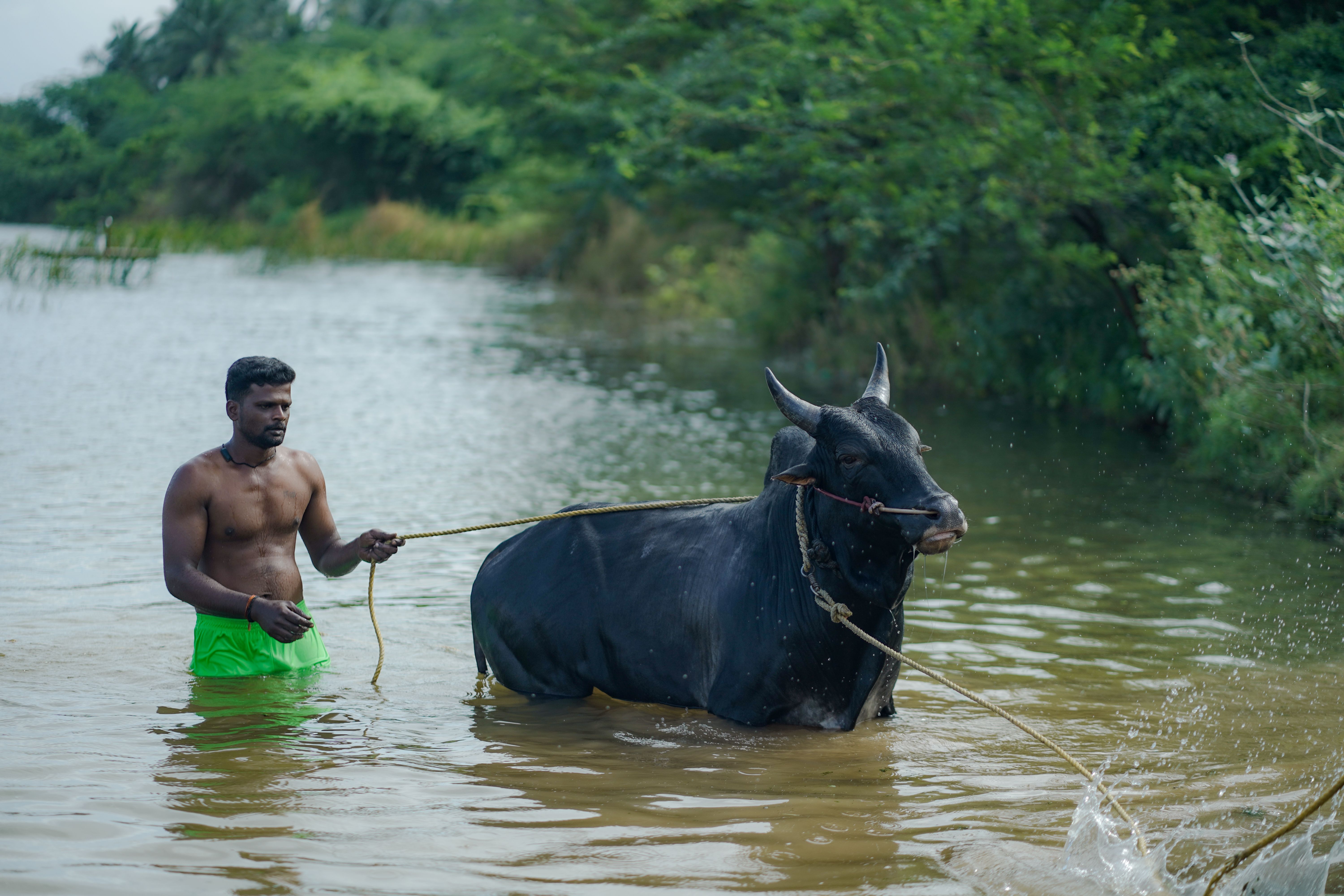 Foto: Aravindhan C / Pexels