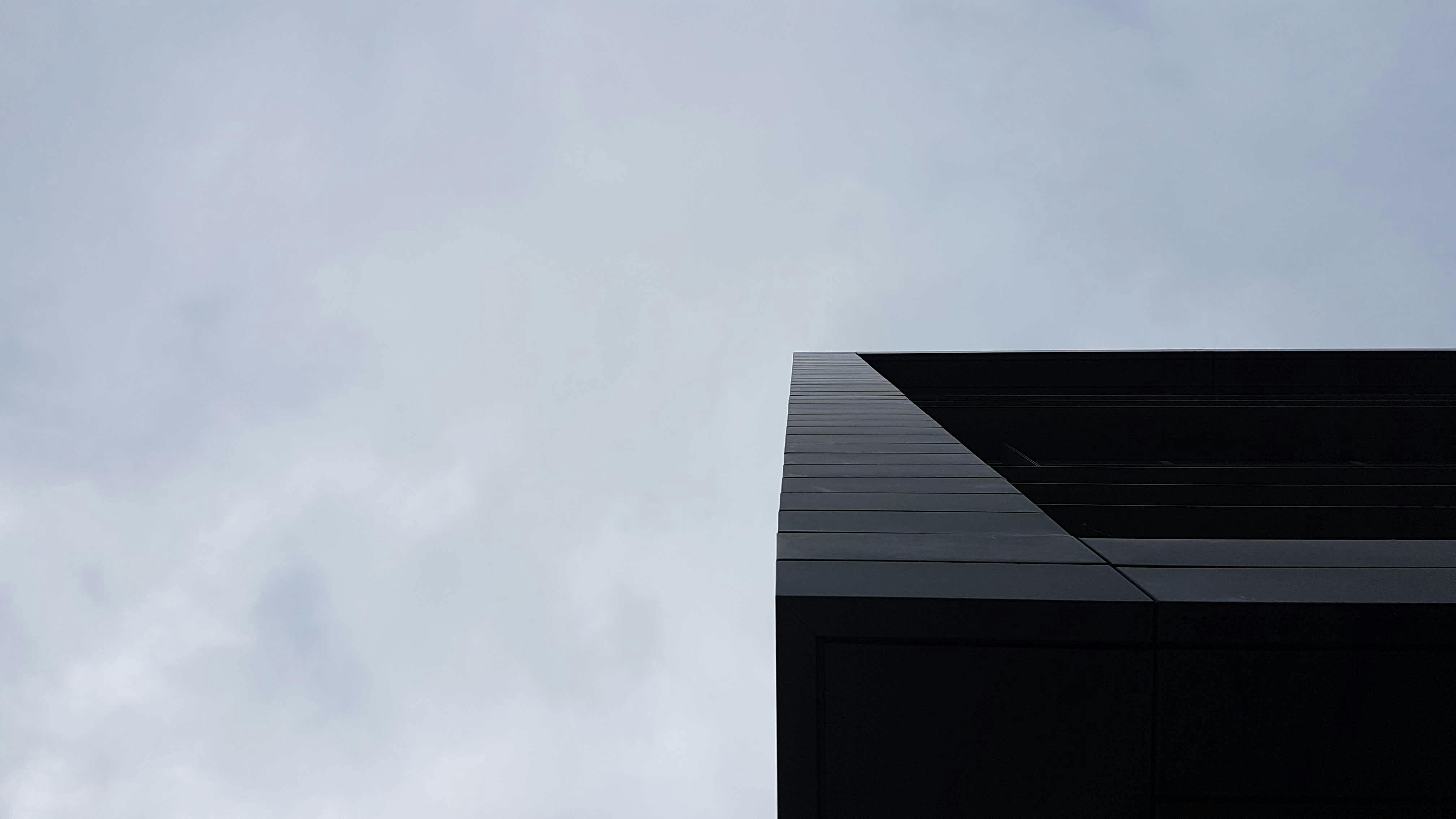 Free stock photo of animal pictures, avian, bird, birdwatching, bristol