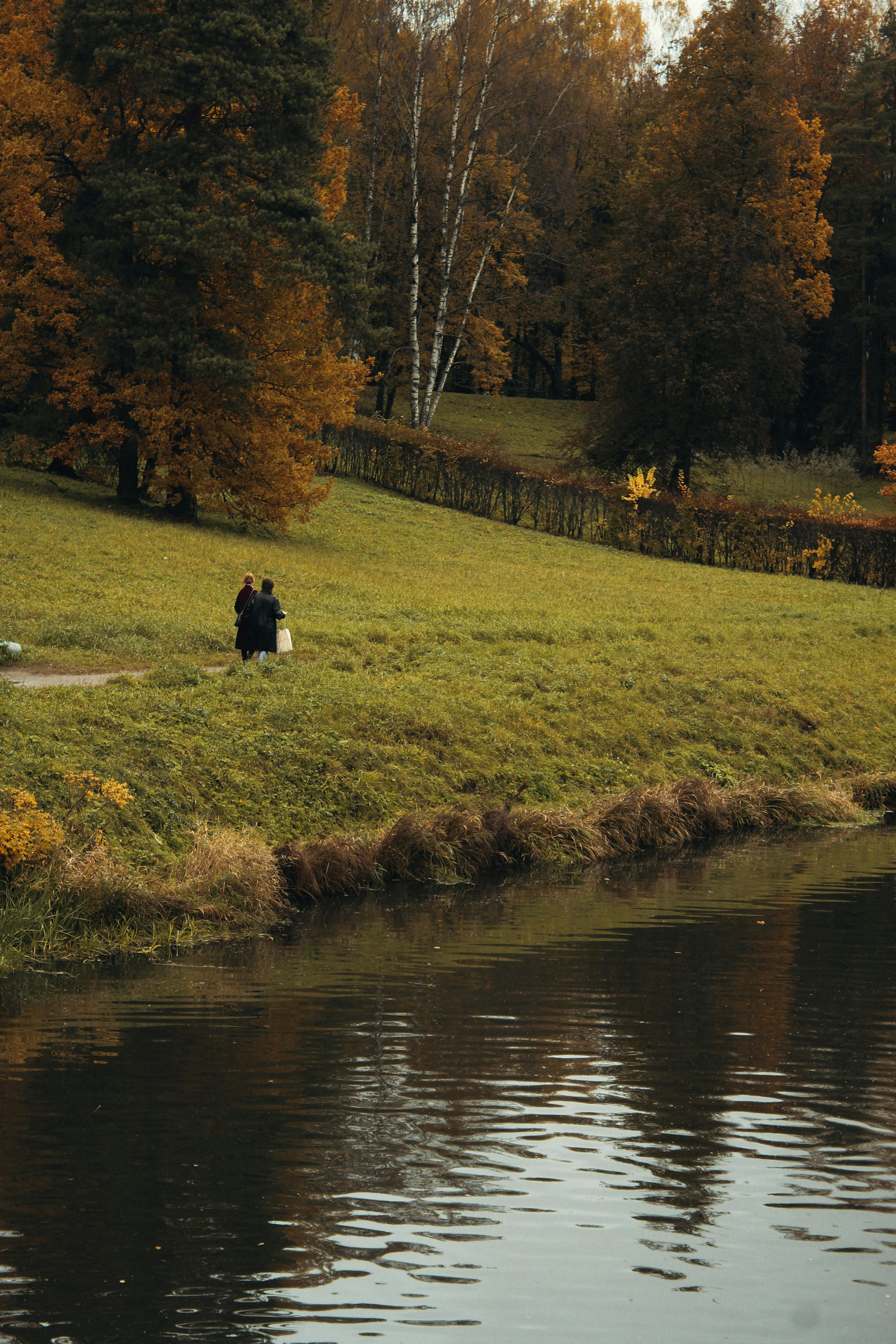 A couple walks by a tranquil lake in an autumn park with colorful foliage.