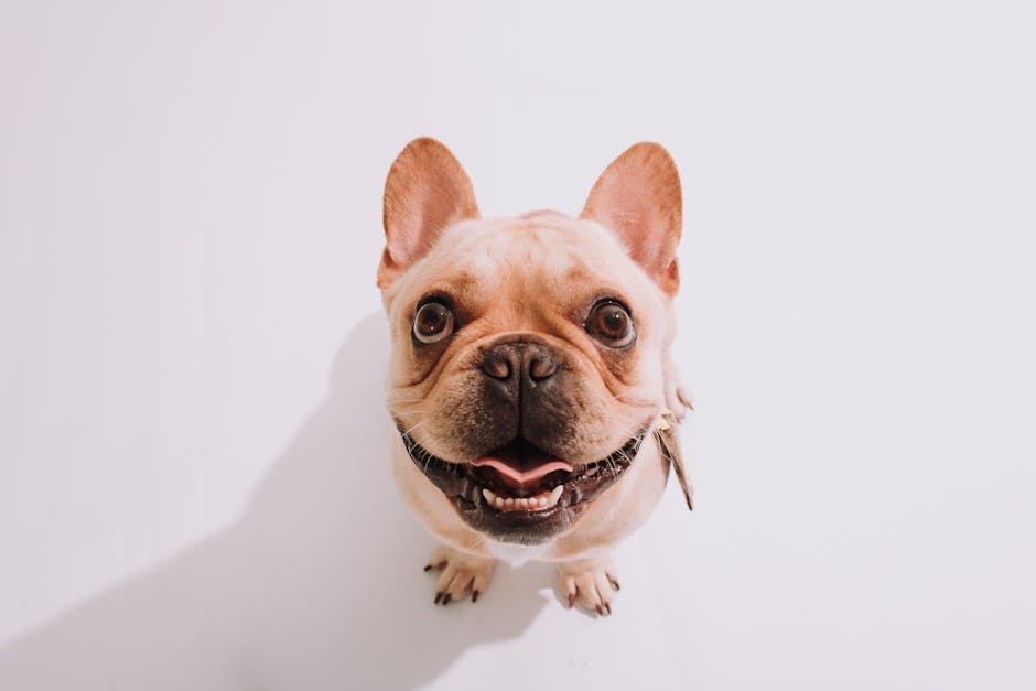 Crafting a Memorable