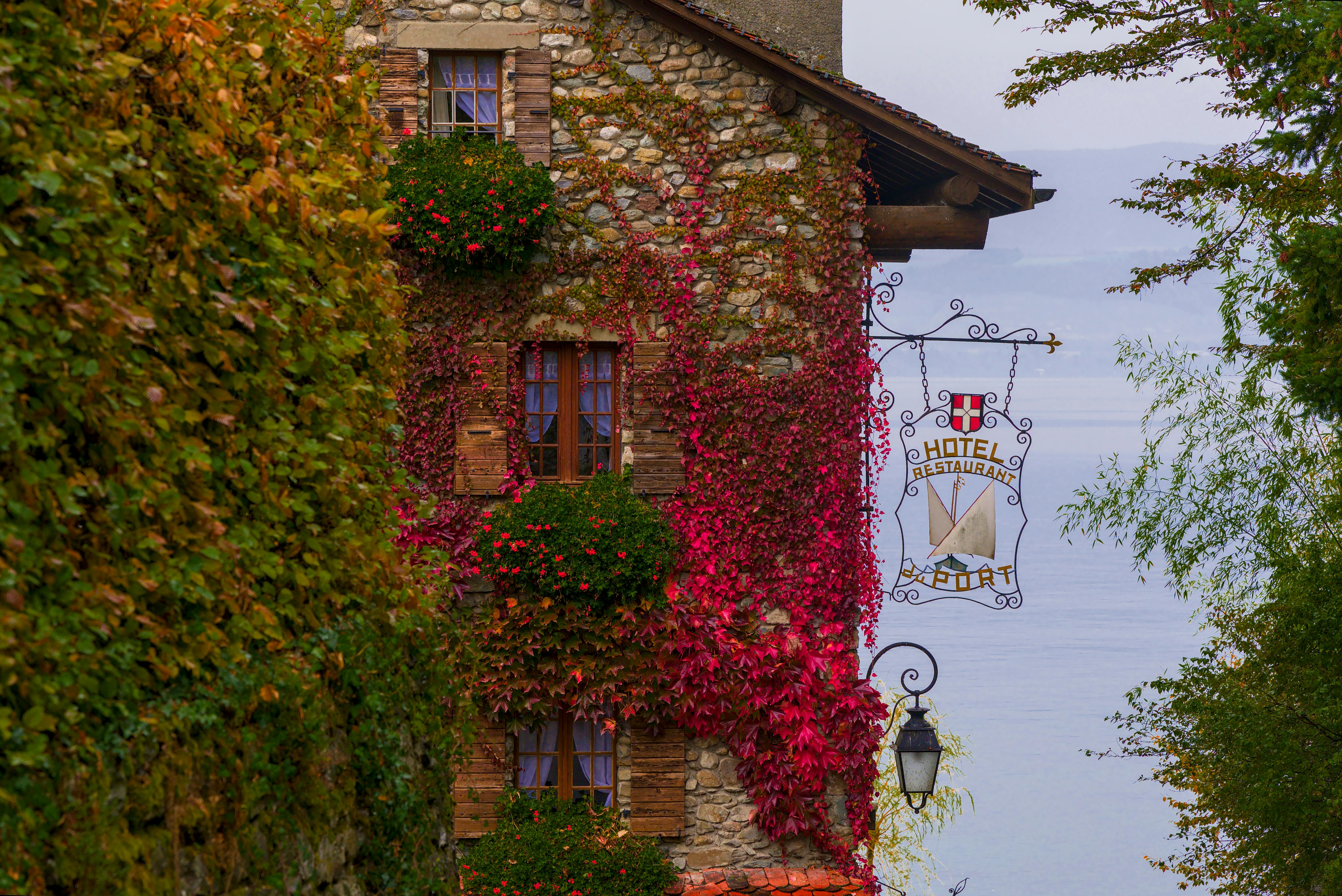 2026 hotel loyalty rankings spotlight budget travel advantages — Photo by Jean-Paul Wettstein on Pexels