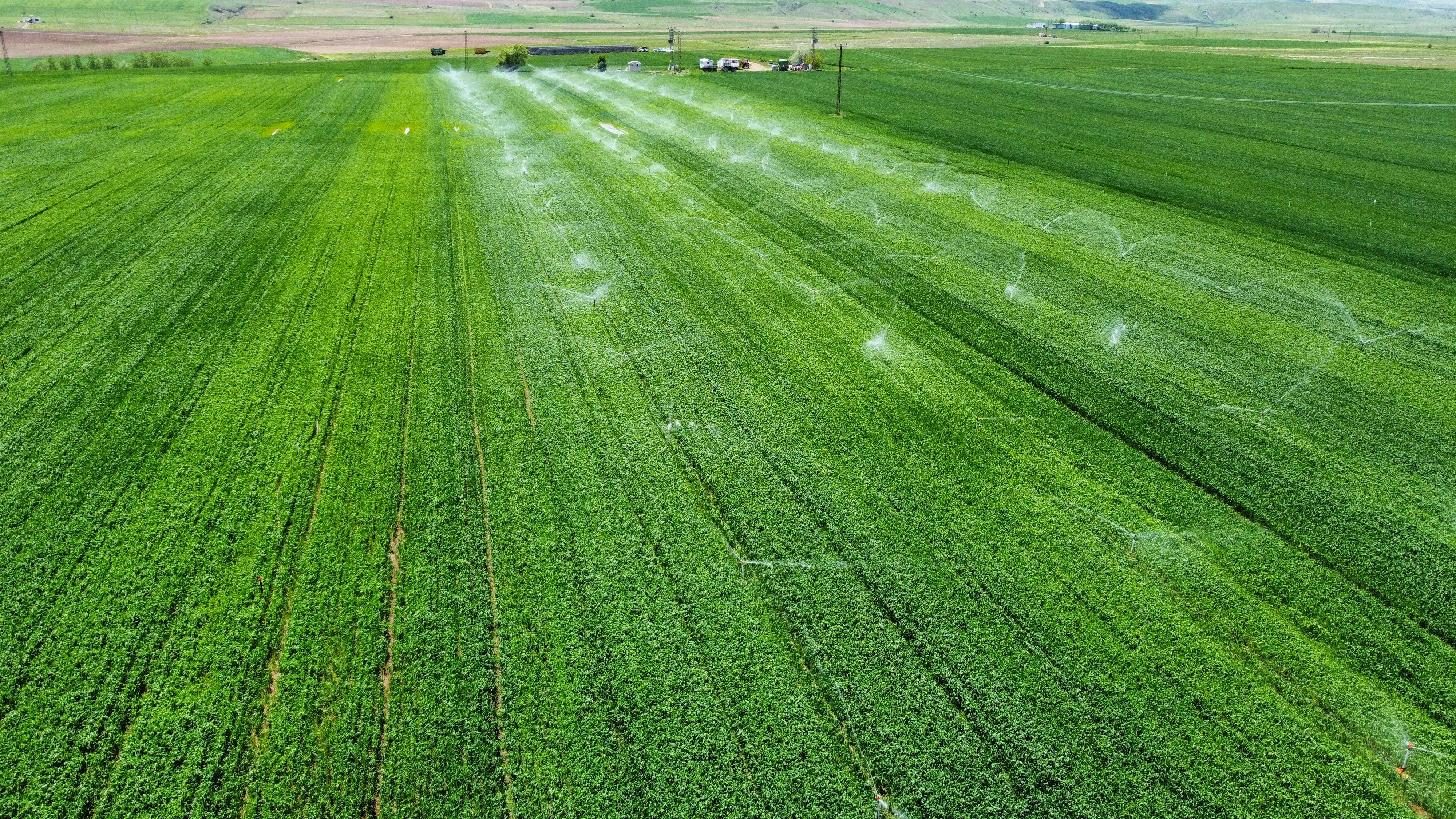 free-photo-of-vista-aerea-de-un-exuberante-campo-verde-con-riego Prácticas Sustentables en el Campo Mexicano: Claves para un Futuro Verde