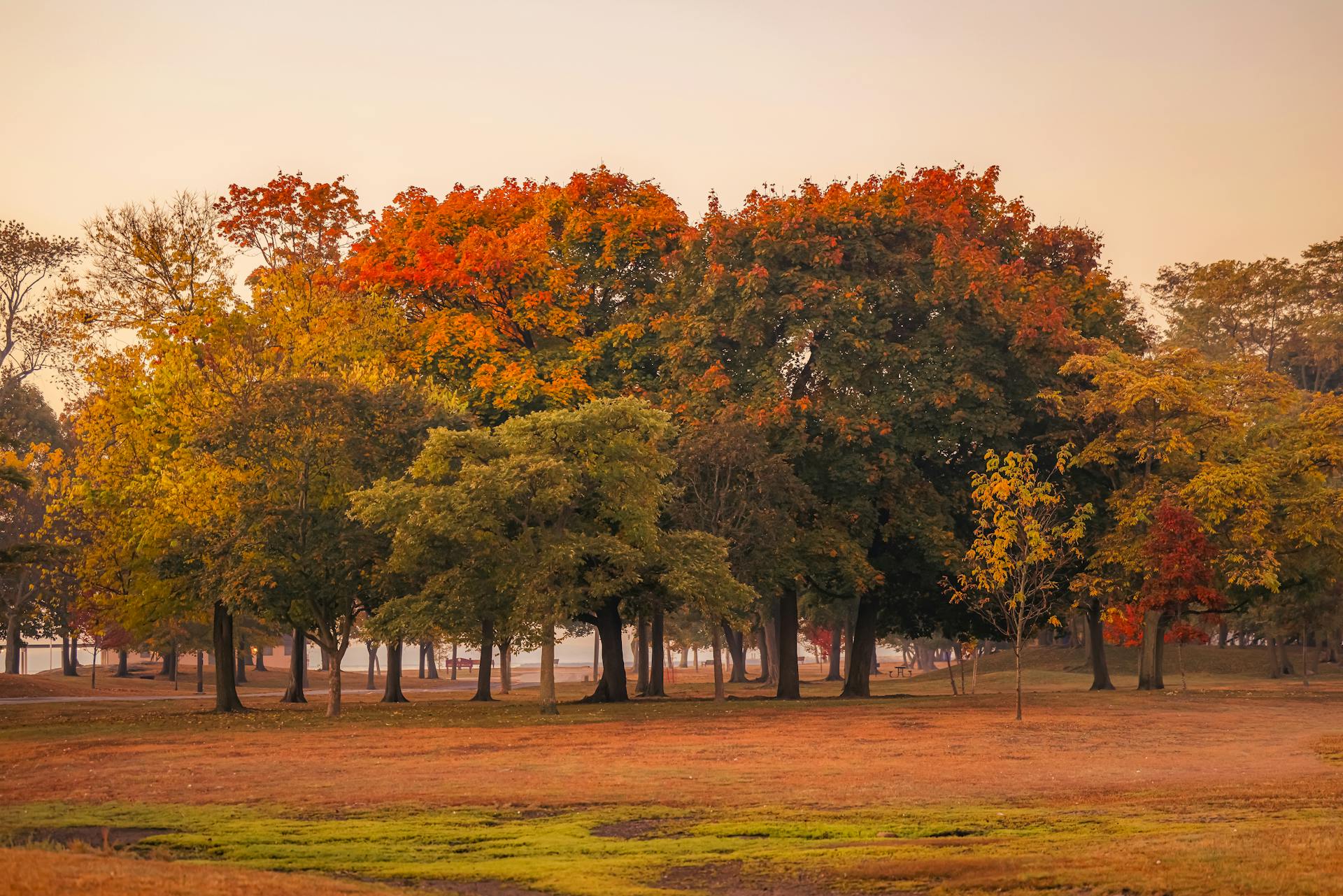 Autumn in Connecticut @ 52° F. October 23, 2024. Cove Island Park. Stamford, CT