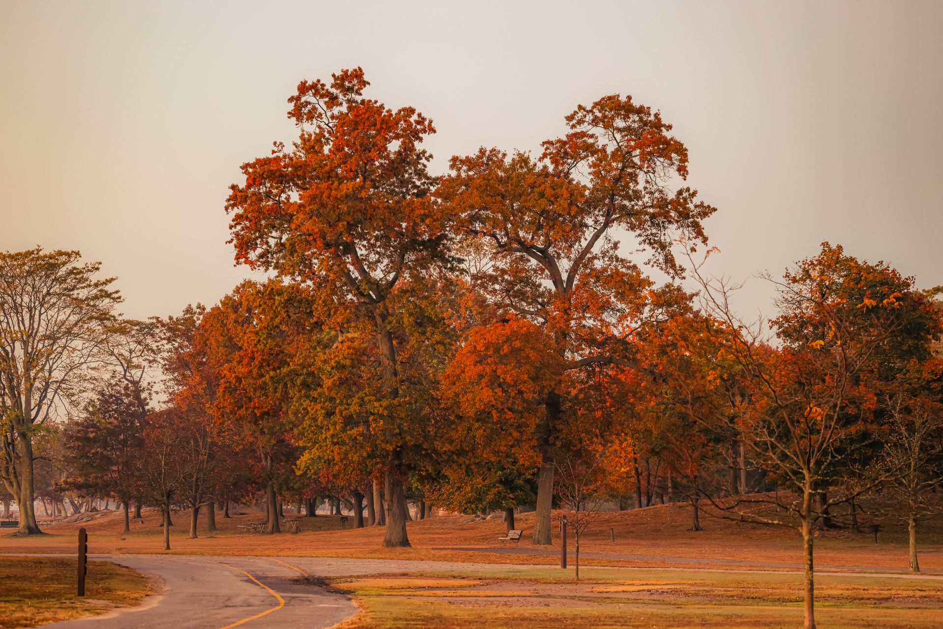 Autumn in Connecticut @ 52° F. October 23, 2024. Cove Island Park. Stamford, CT
