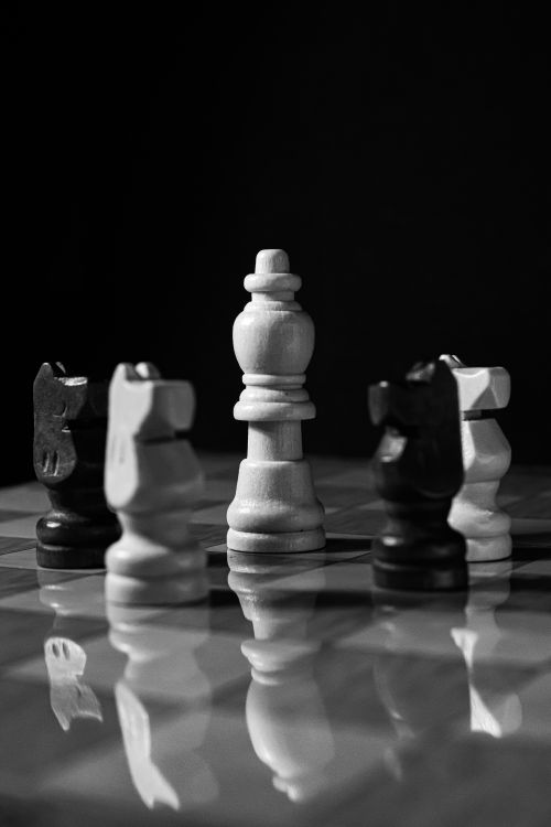 Free Black and white chess pieces arranged with dramatic lighting on a glossy board. Stock Photo