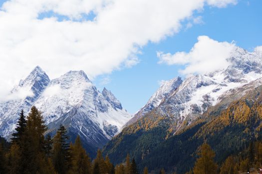 Stunning view of snow-capped mountains and autumn forest under a bright blue sky.