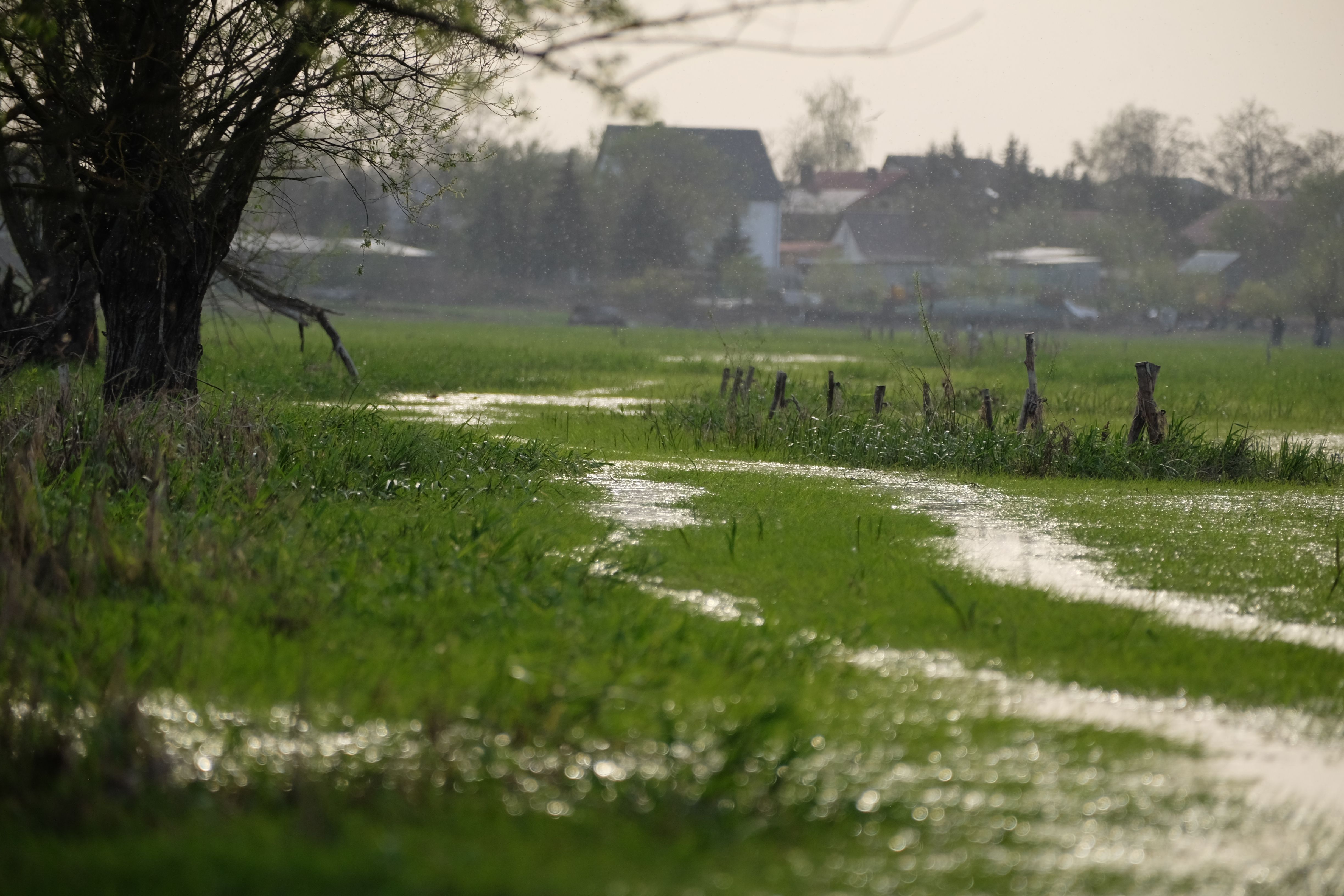 Tranquil image of a spring meadow flooded with rain, trees and distant village in view.