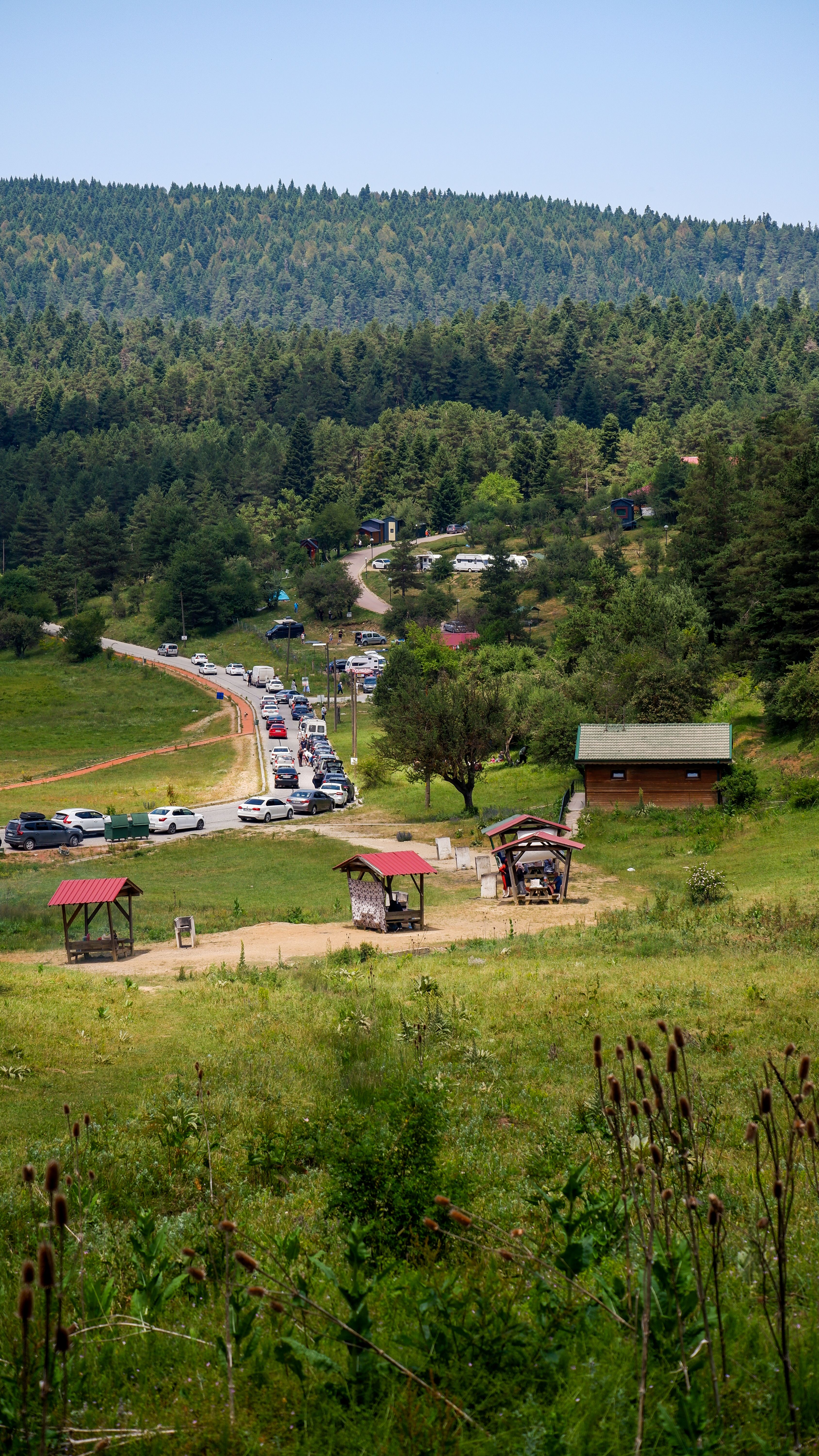 Aerial view of winding road through lush Bolu forest, featuring cars and small wooden huts under a clear sky.