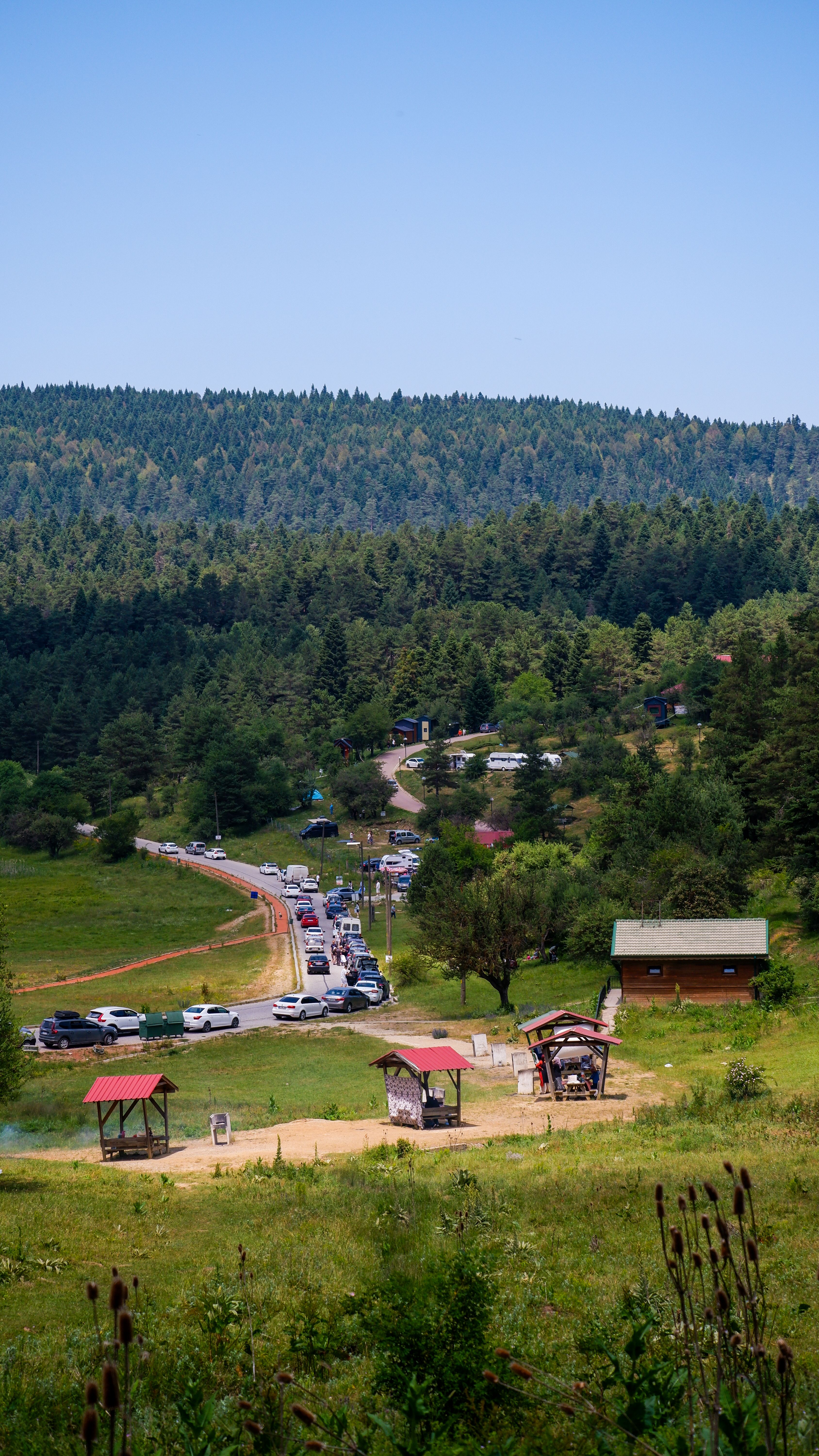 Picturesque landscape of Bolu, Türkiye, featuring lush forests and a winding road.