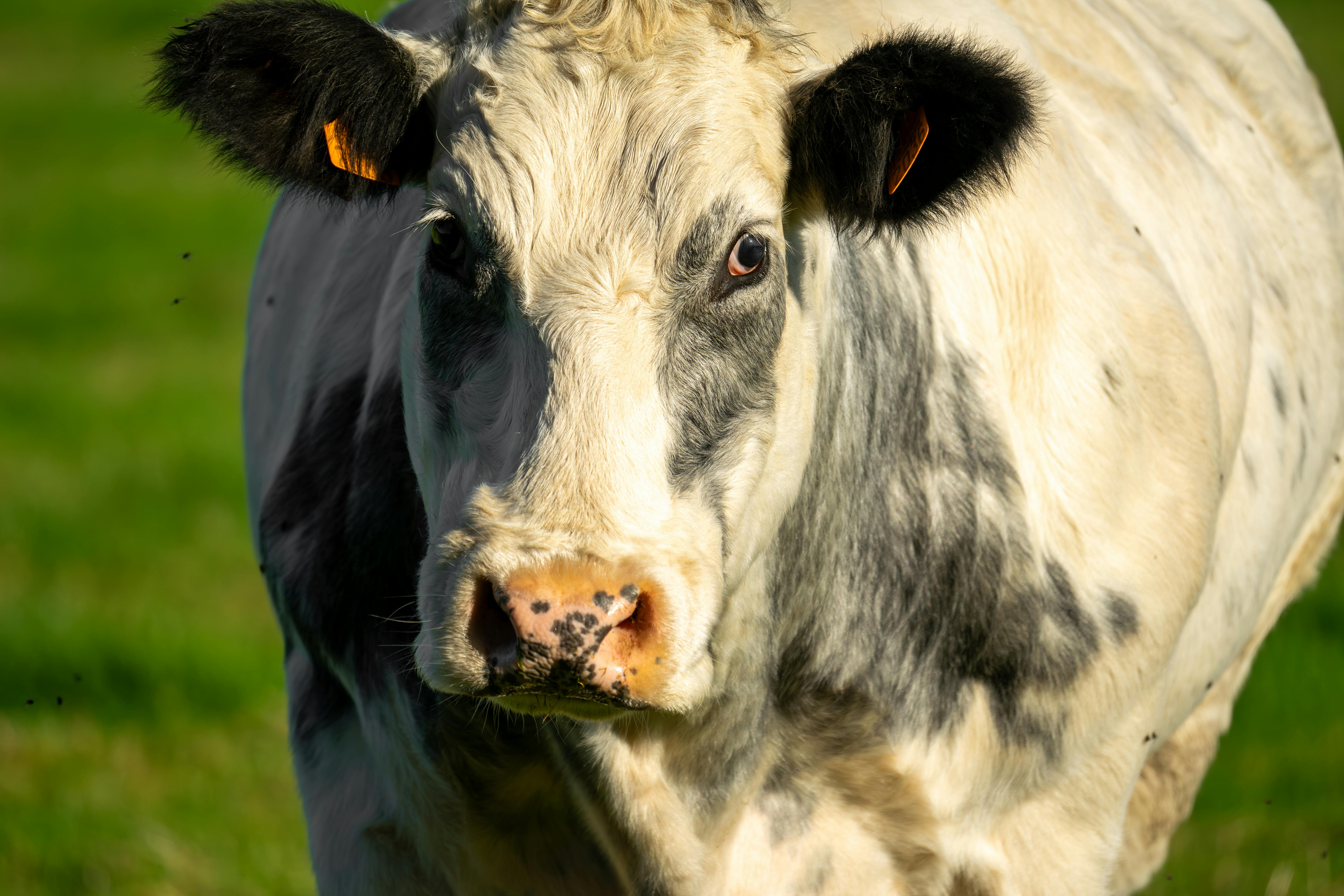 Mood Board Inspiration