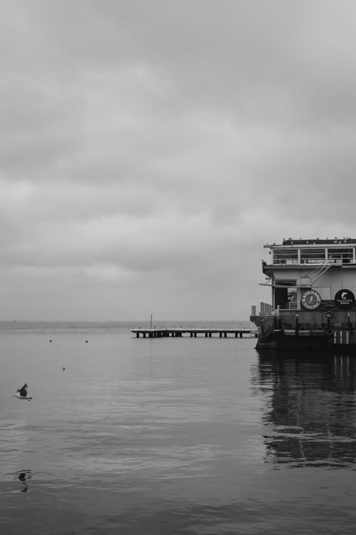 Free Moody black and white image of a pier extending into calm waters, creating a serene atmosphere. Stock Photo