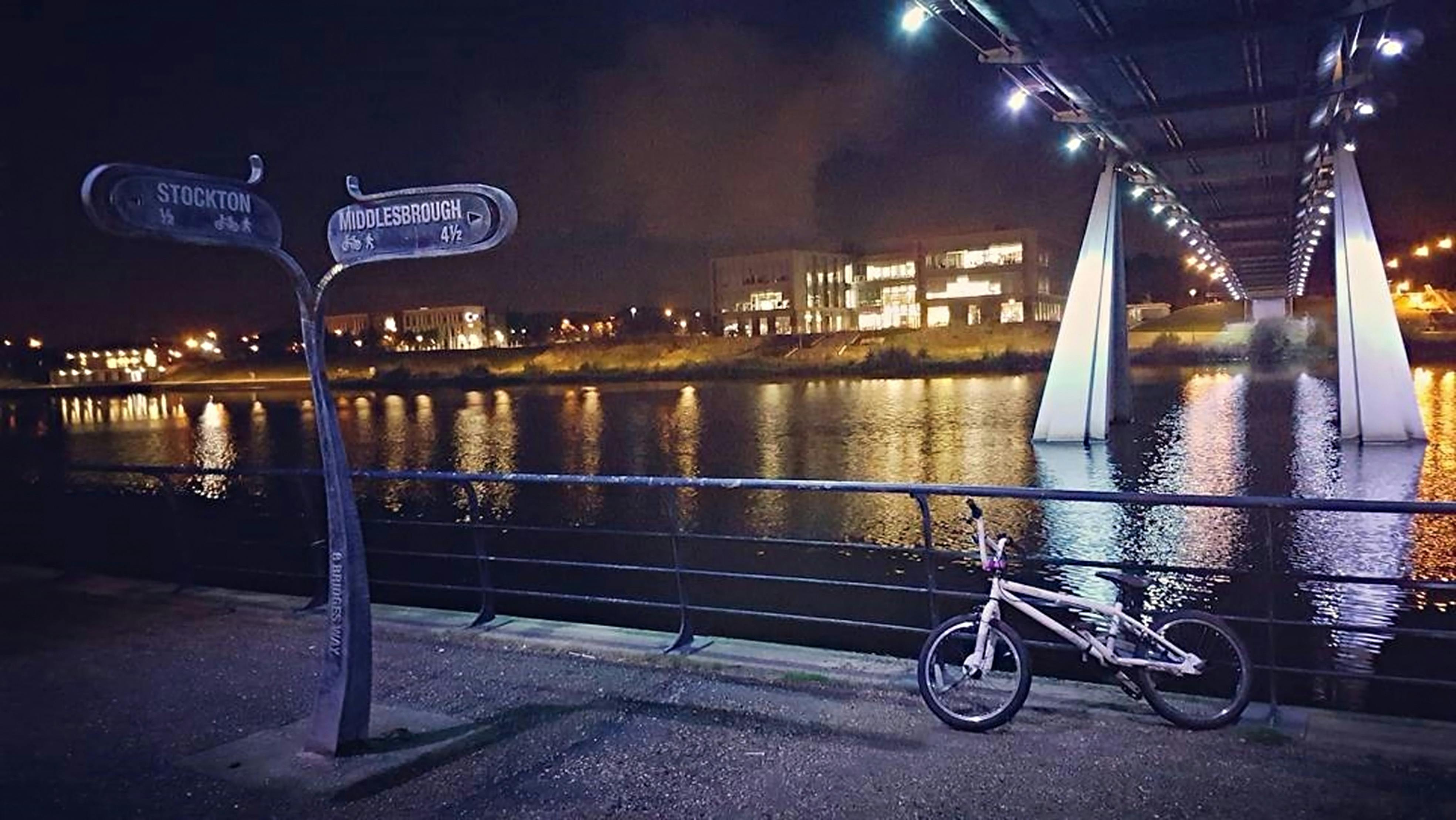 Free stock photo of animal pictures, avian, bird, birdwatching, bristol