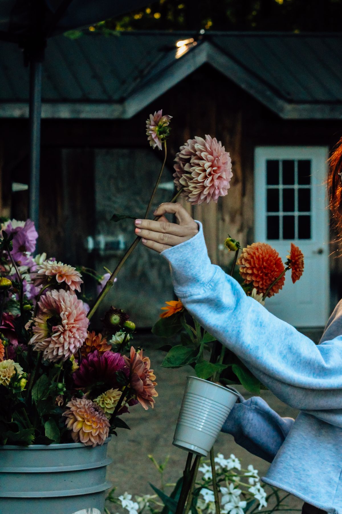 Arranging dahlias by hand outside the studio door