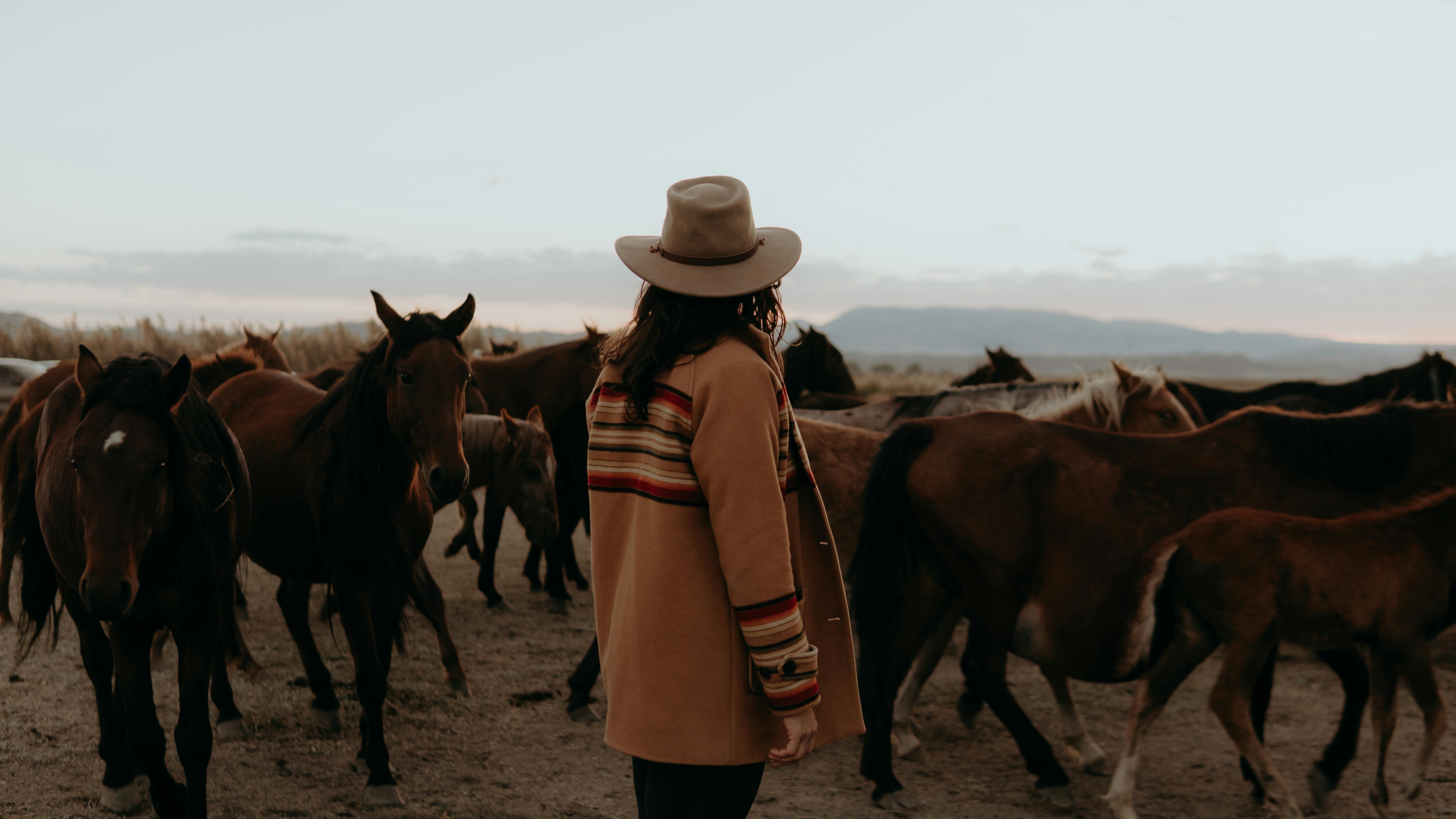 A woman in a hat watches a group of horses during a serene sunset in a rural setting.