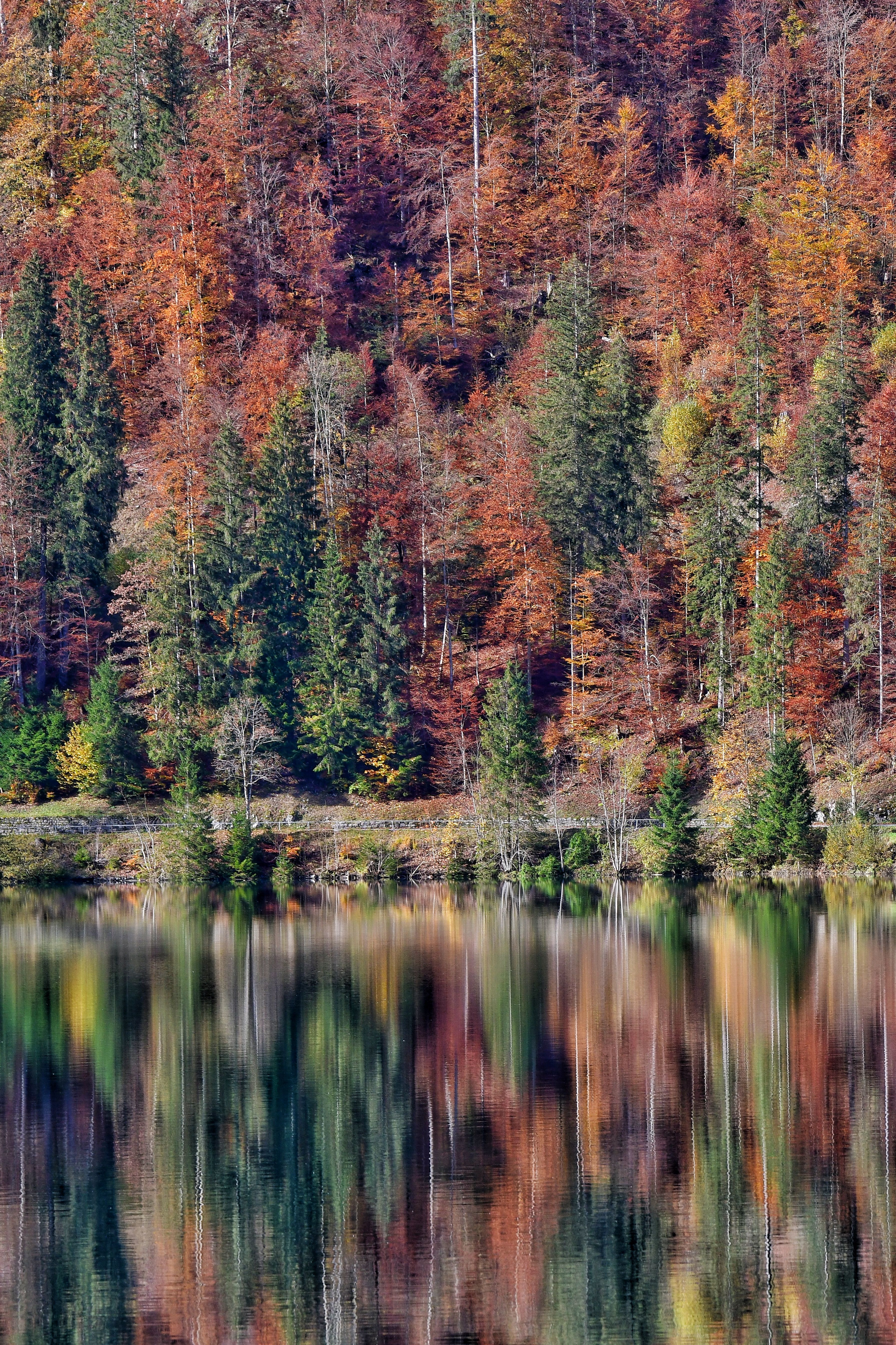Autumn Forest Reflected in Tranquil Lake · Free Stock Photo