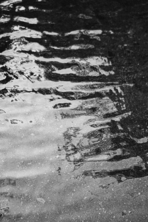 Free Abstract black and white photo capturing water ripples and reflections. Stock Photo