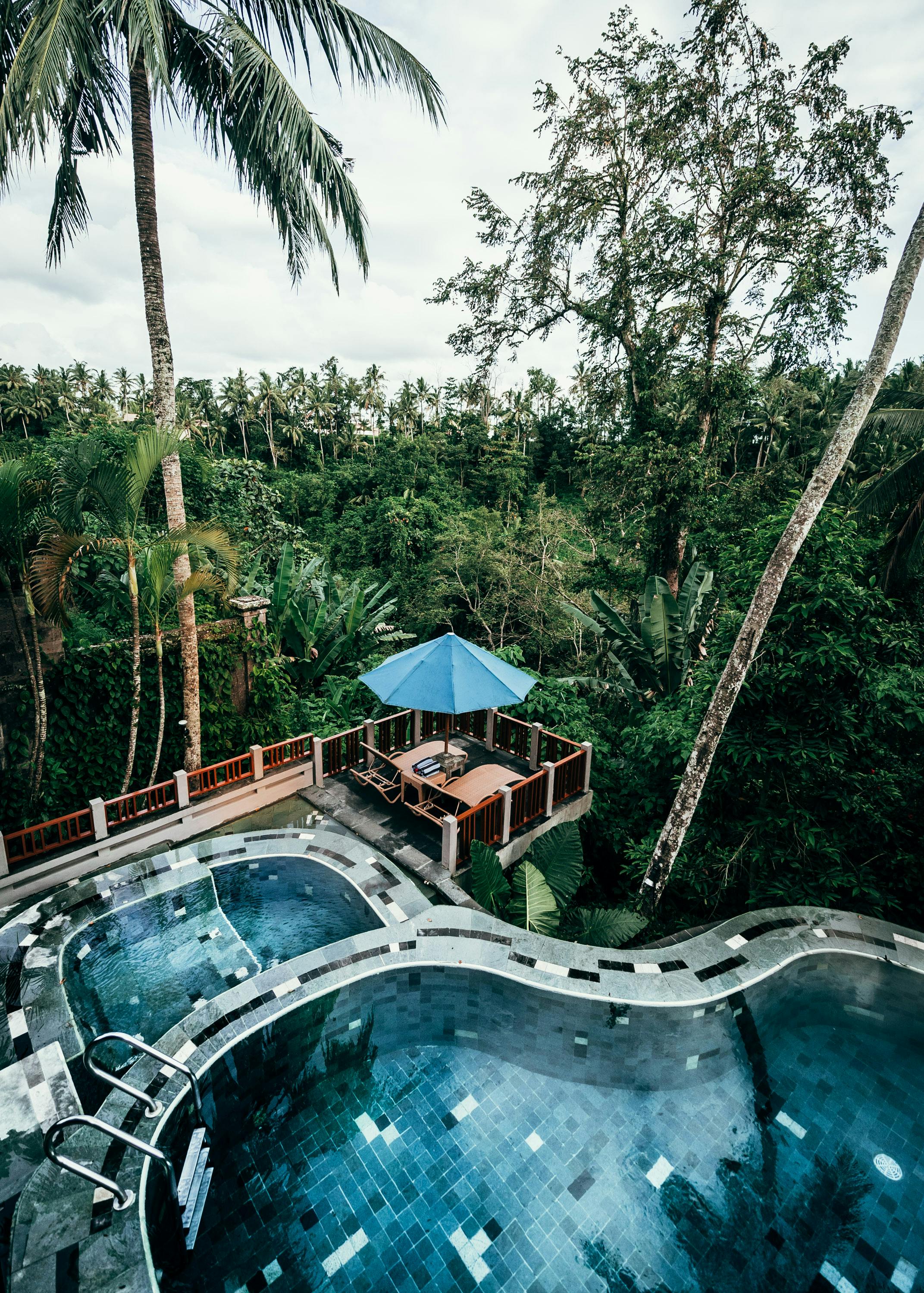 a swimming pool in an urban forest