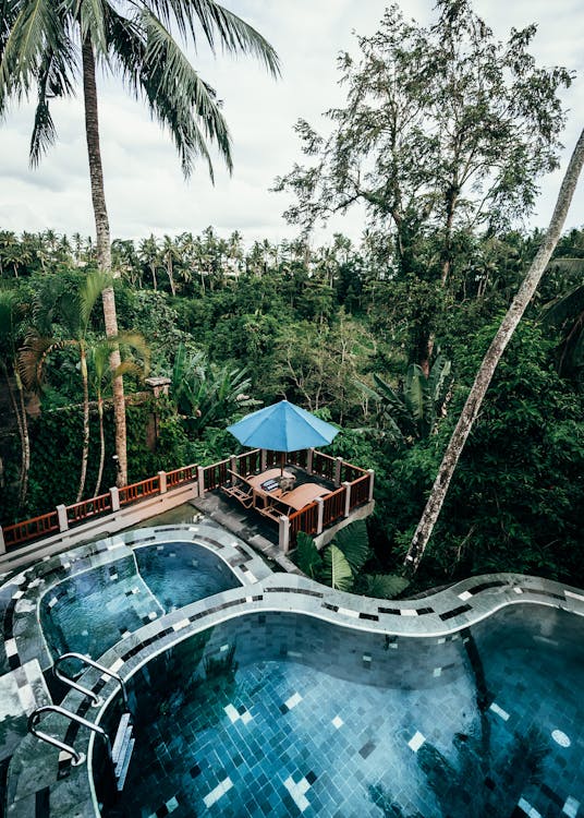 A Swimming Pool In An Urban Forest