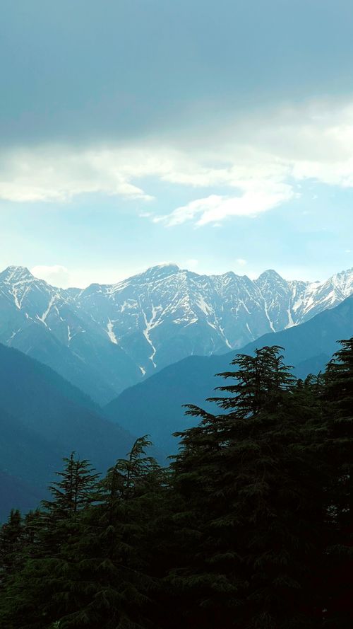 Free Breathtaking view of snow-capped mountains and dense evergreen forest under a cloudy sky. Stock Photo