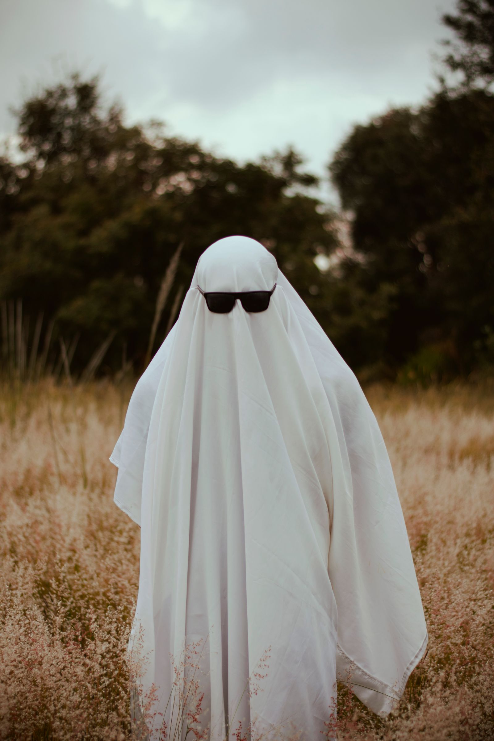 Ghost Image While Form Is Loading Ghost with Camera in Mirror · Free Stock Photo