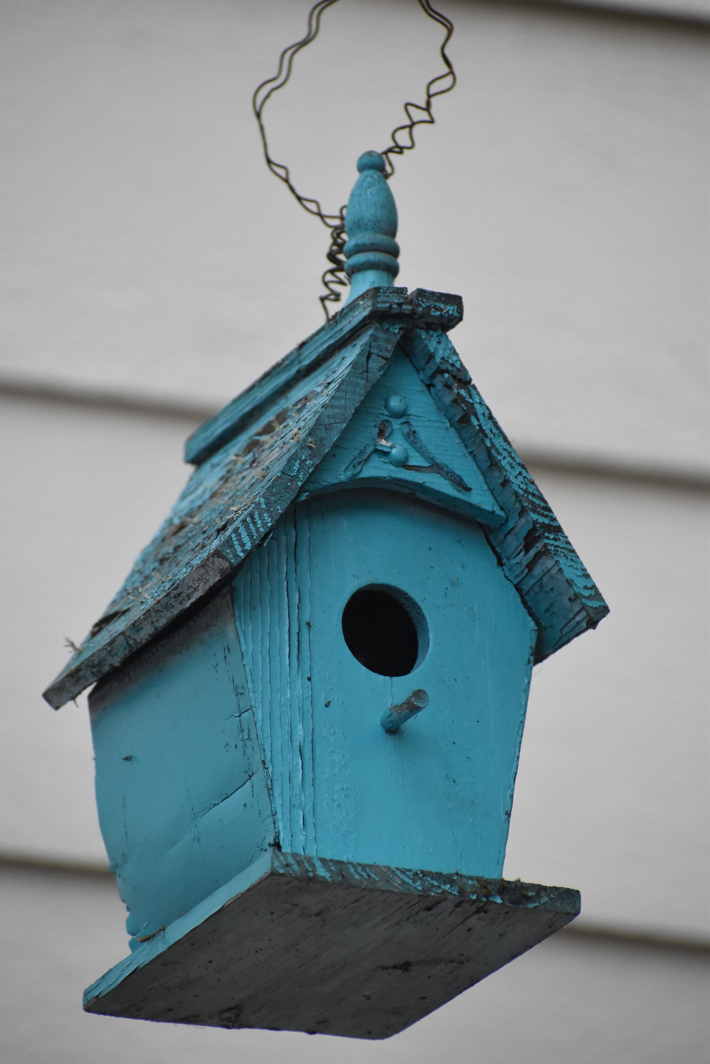 Charming Rustic Blue Birdhouse in Close-up · Free Stock Photo