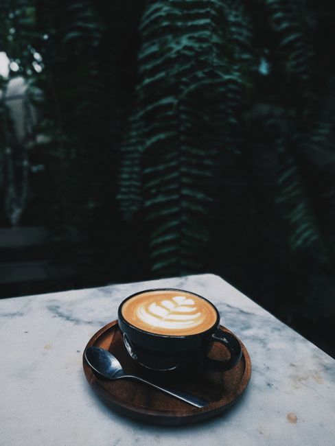 A beautifully crafted latte with latte art on a marble table, surrounded by lush green ferns.
