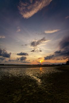 Dramatic sunset scene casting vibrant colors across a serene coastal area, ideal for nature themes.