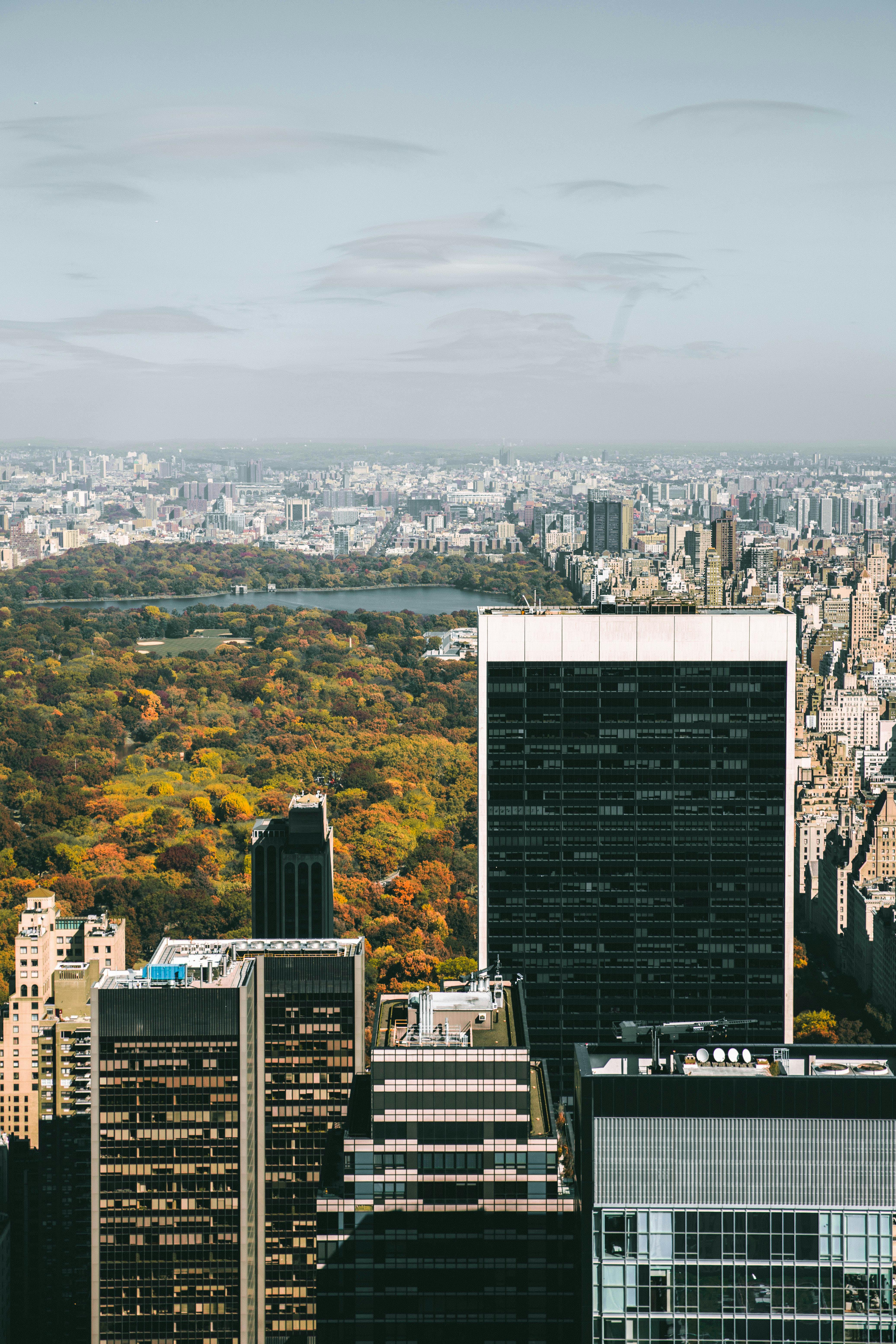 Central Park, New York City