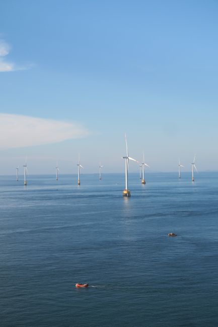 An expansive offshore wind farm with several wind turbines on a calm sea under a clear blue sky.