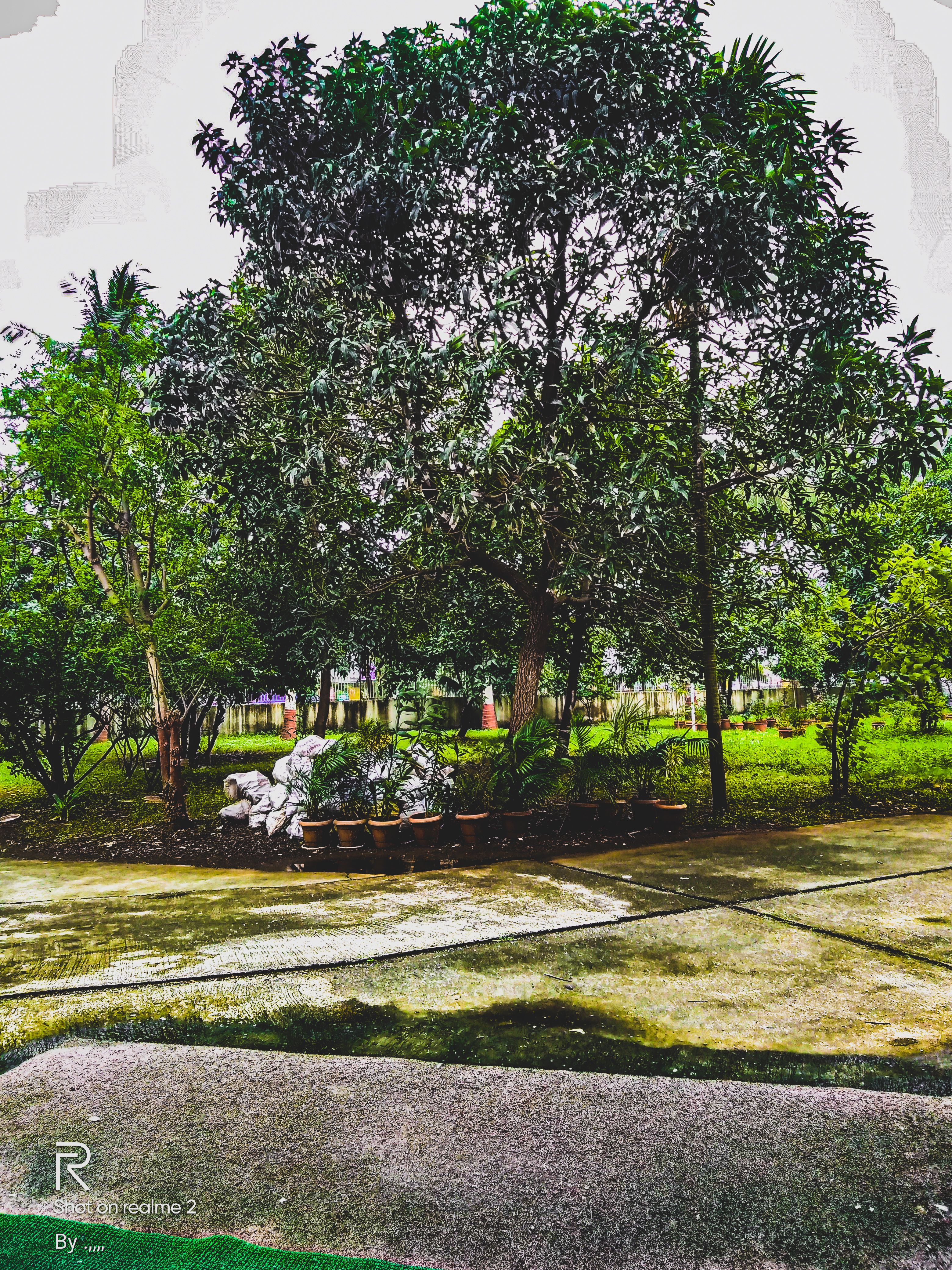 Representative image of a hilltop resort wedding setting — illustrative, not photographed at Swaastha Retreat, Nandi Hills