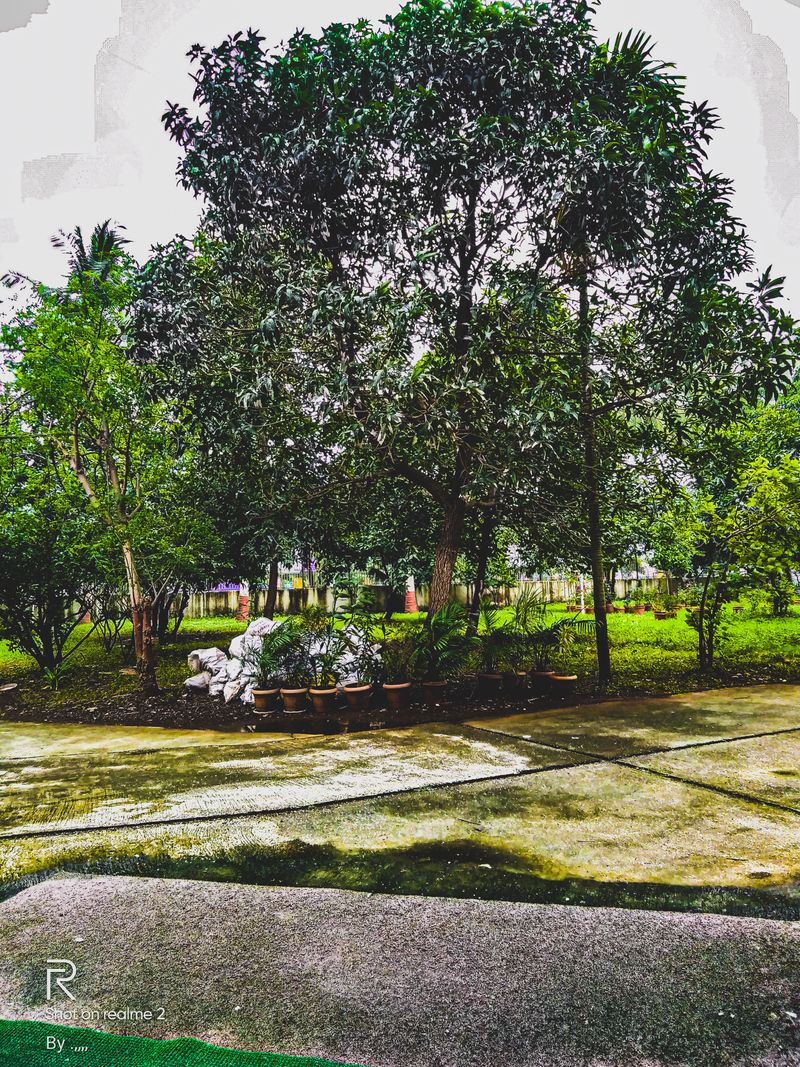Nandi Hills resort hilltop wedding venue near Bangalore