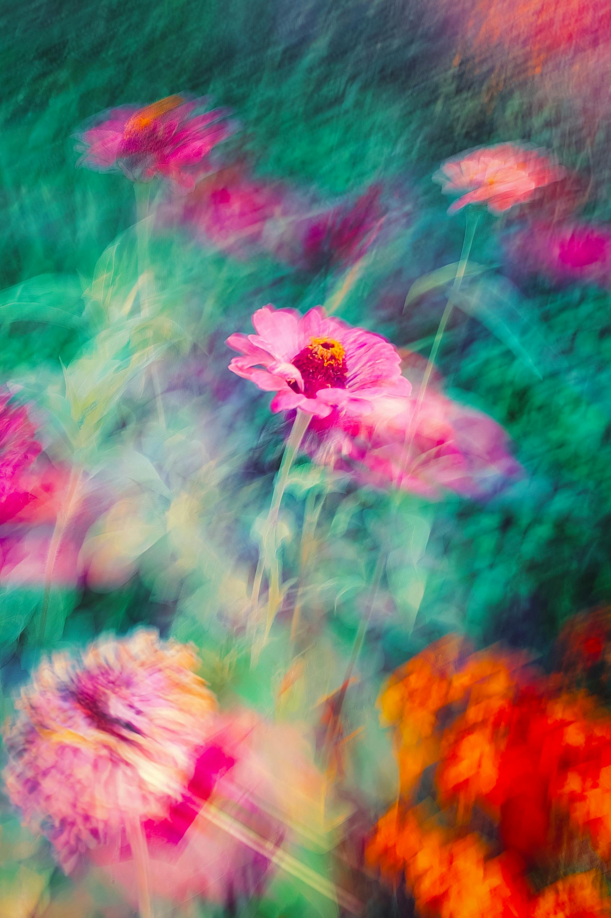 Colorful abstract photo of flowers with motion blur, creating a vibrant artistic effect.