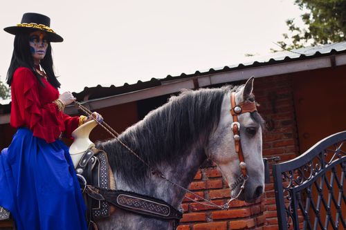 Free A person in Dia de los Muertos attire riding a horse, showcasing vibrant festival culture. Stock Photo