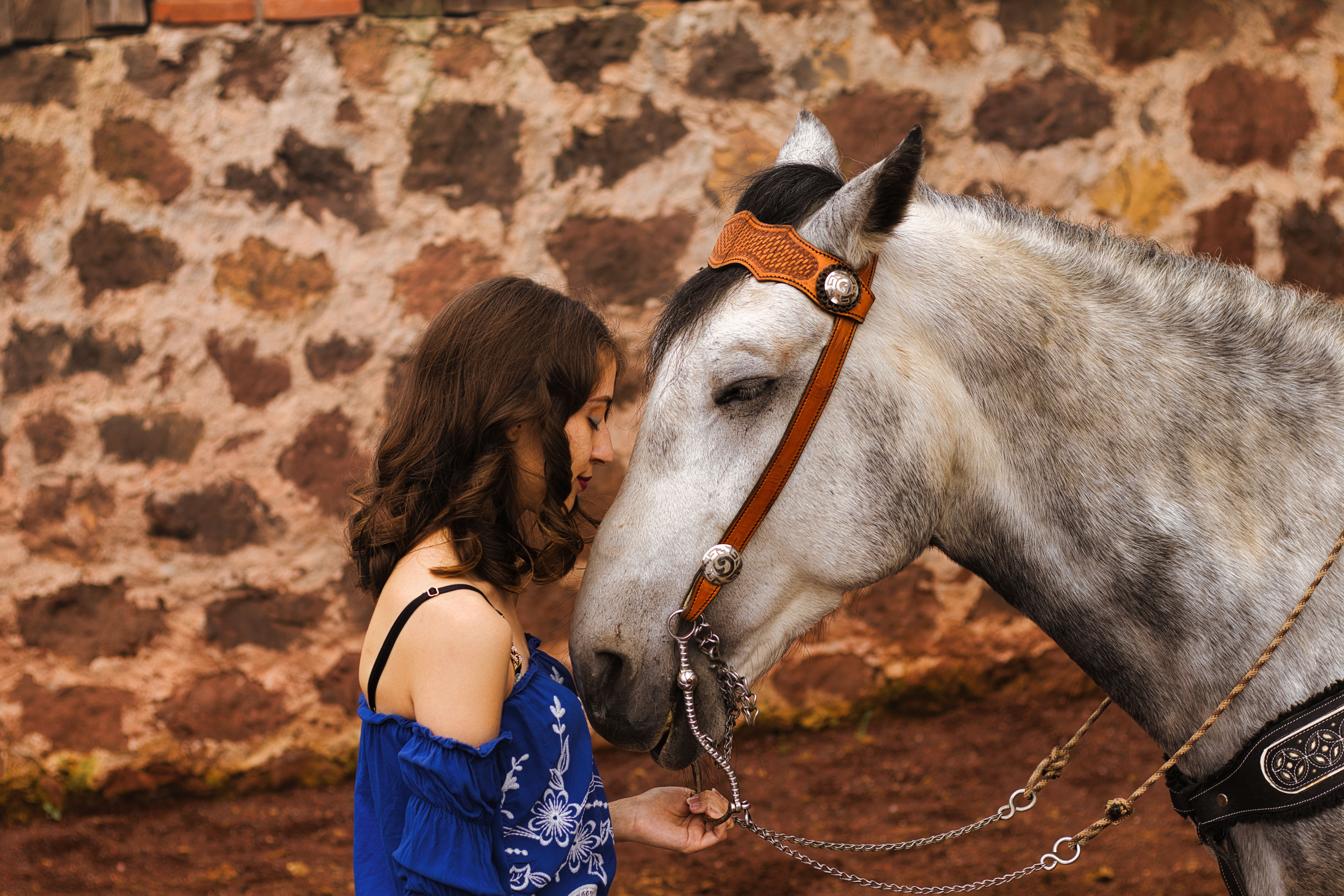holding horses blue dress Holding Horses – The Resale Boutique main image 0